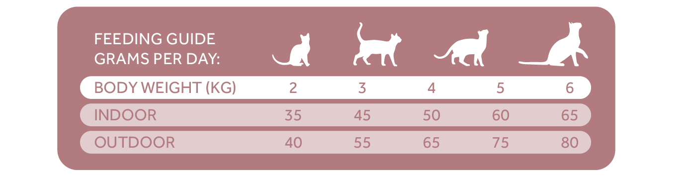 Tablas Trovetplus-19